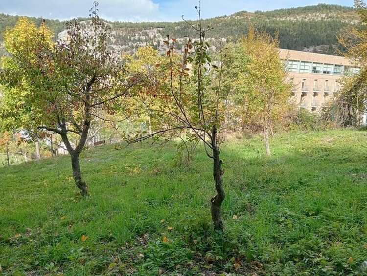 foto 3 del terreno