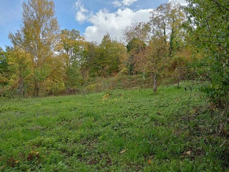 foto 4 del terreno