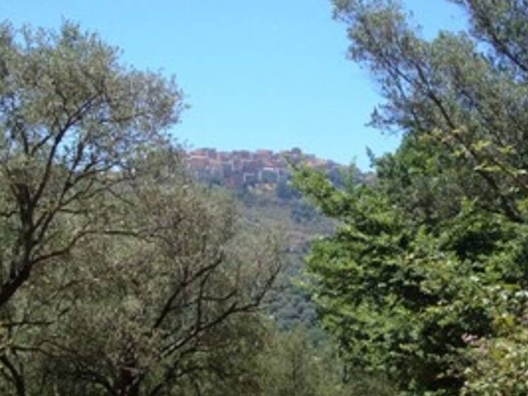 foto 2 del terreno
