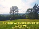 anteprima foto 1 del terreno - ID 12770