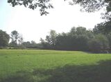 anteprima foto 8 del terreno - ID 12770