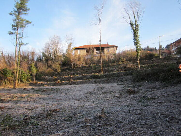 foto 4 del terreno