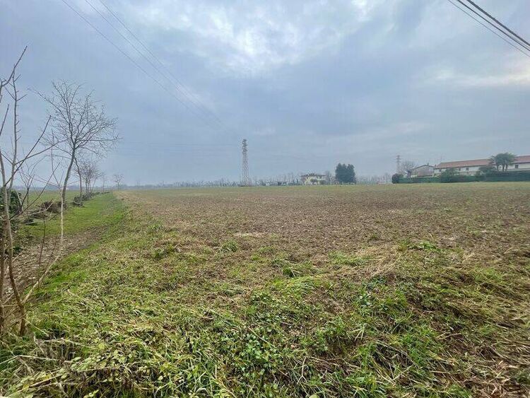 foto 3 del terreno