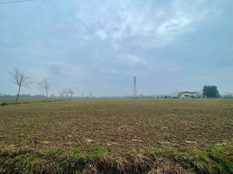 foto 4 del terreno