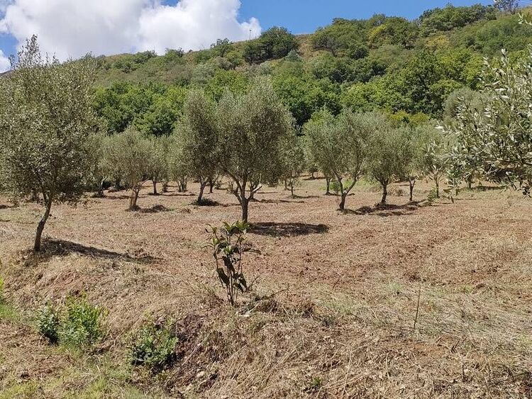 foto 2 del terreno