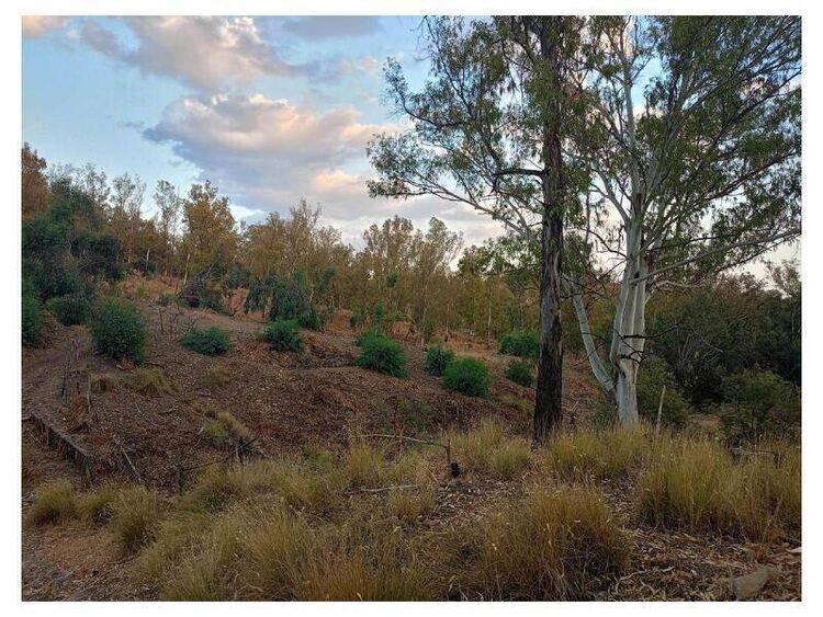 foto 2 del terreno