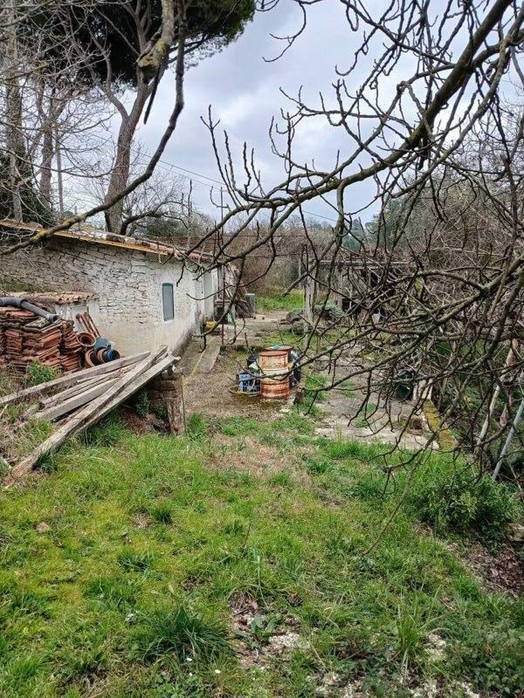foto 3 del terreno