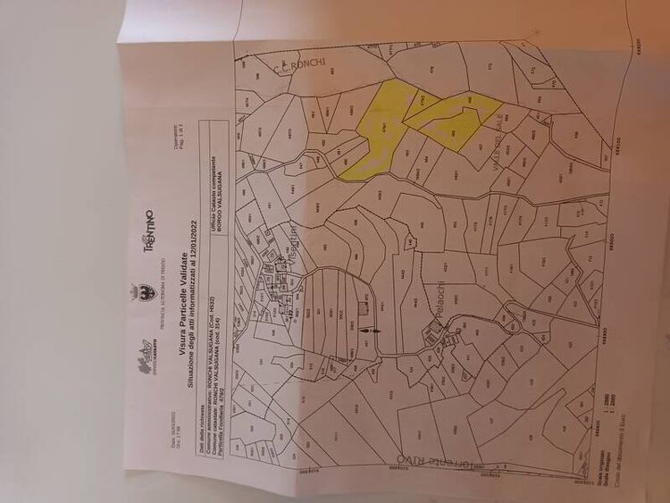 foto 3 del terreno