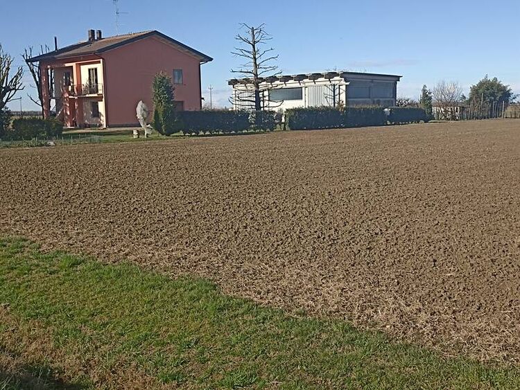 foto 2 del terreno