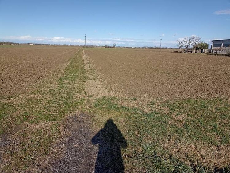 foto 4 del terreno