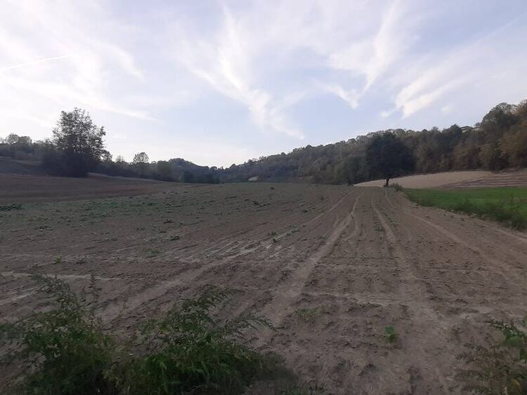 foto 4 del terreno