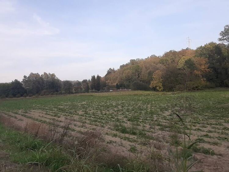 foto 5 del terreno