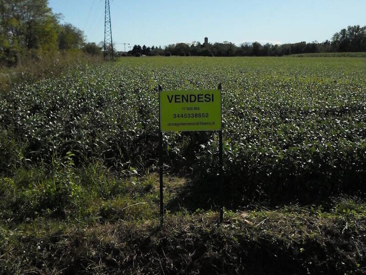 foto 4 del terreno