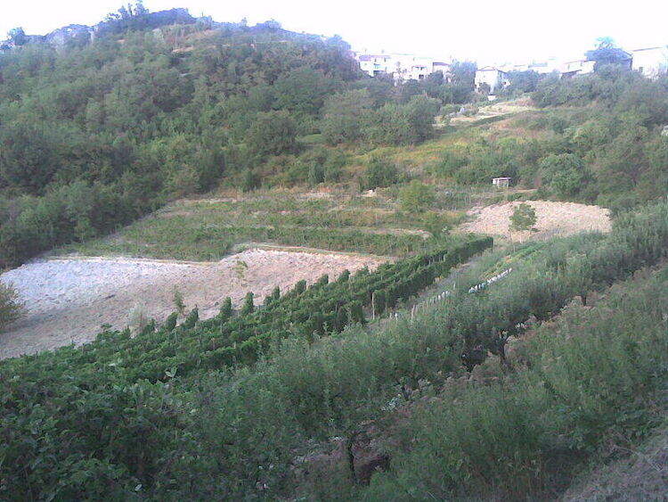 foto 2 del terreno