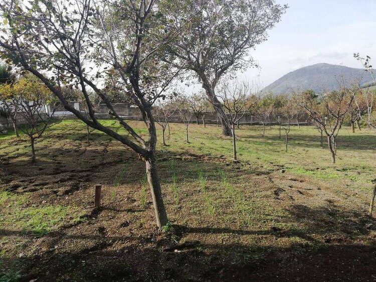 foto 4 del terreno