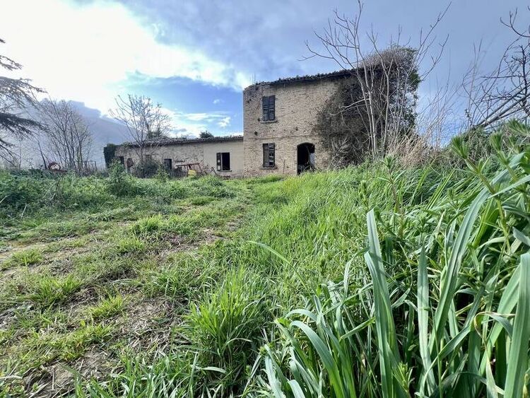 foto 3 del terreno
