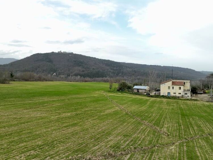 foto 4 del terreno