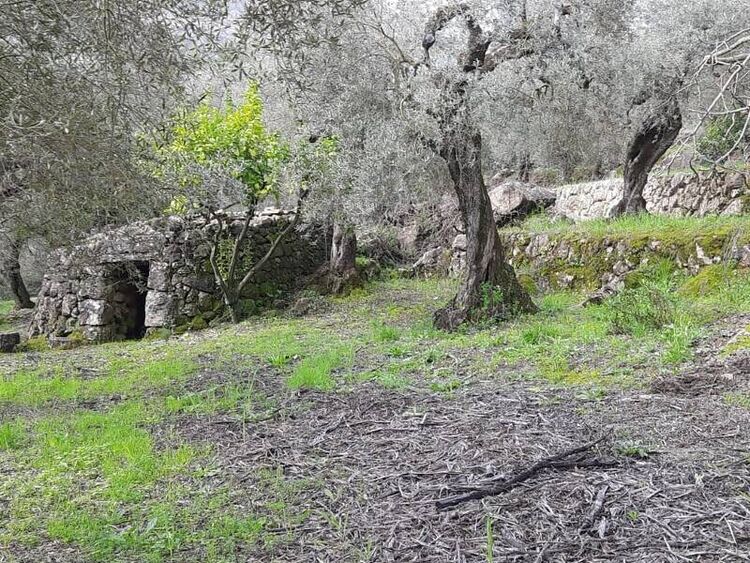 foto 2 del terreno