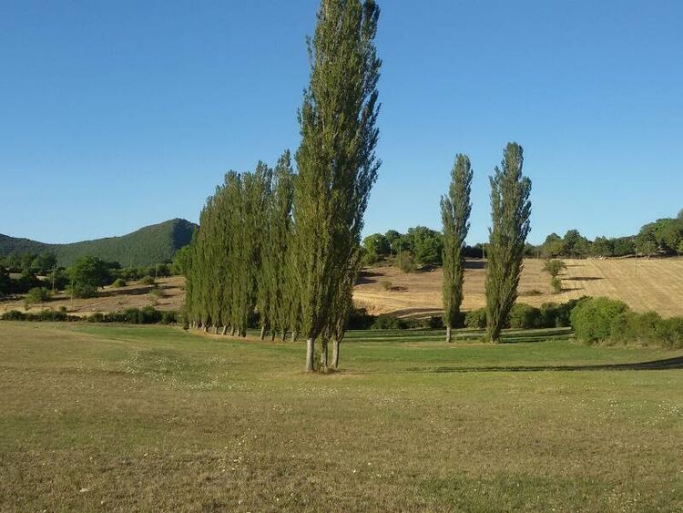 foto 2 del terreno