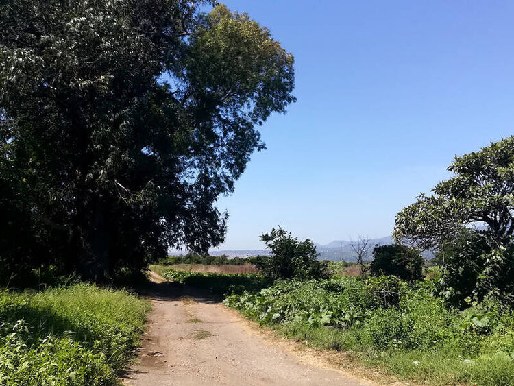 foto 2 del terreno