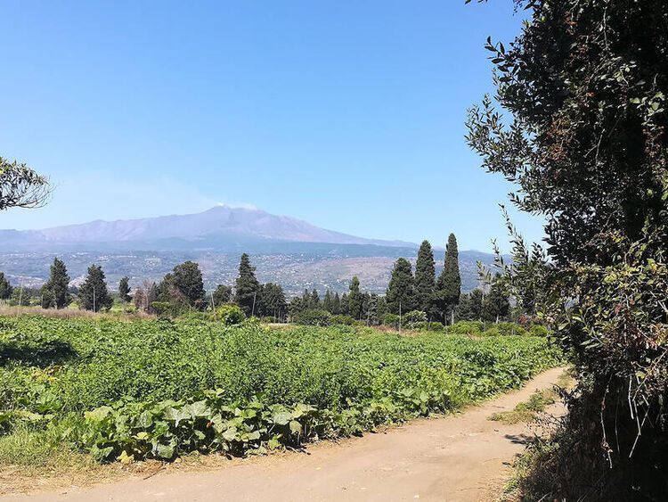 foto 4 del terreno