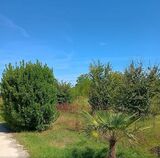 anteprima foto 8 del terreno - ID 75388