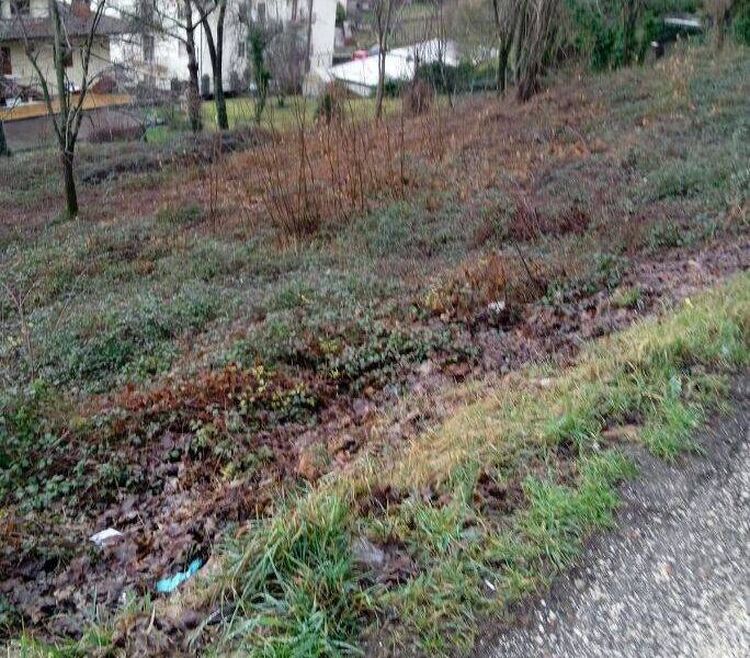 foto 4 del terreno