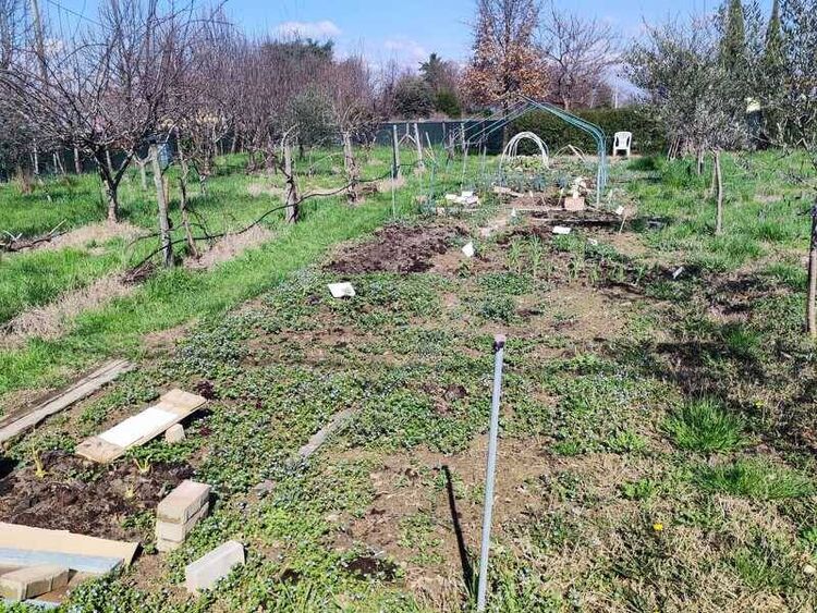 foto 2 del terreno