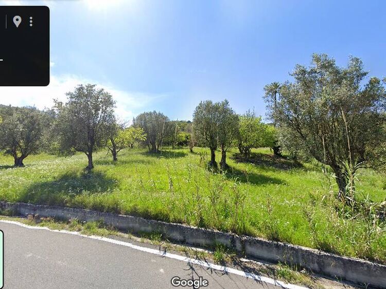 foto 2 del terreno