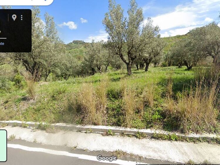 foto 4 del terreno