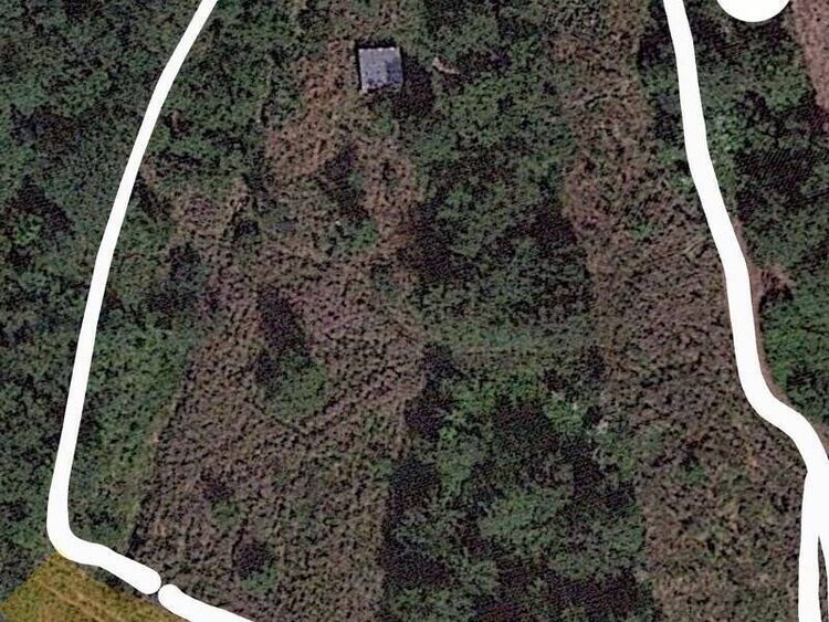 foto 4 del terreno
