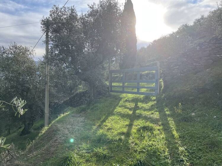 foto 5 del terreno
