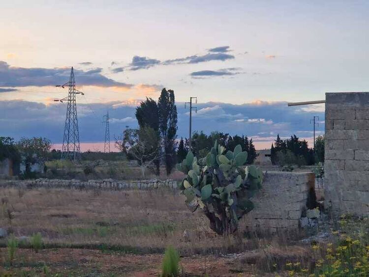foto 3 del terreno