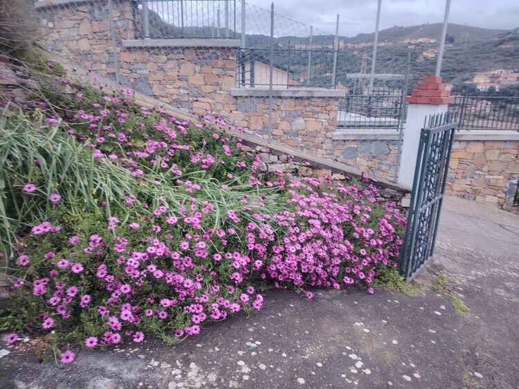foto 5 del terreno