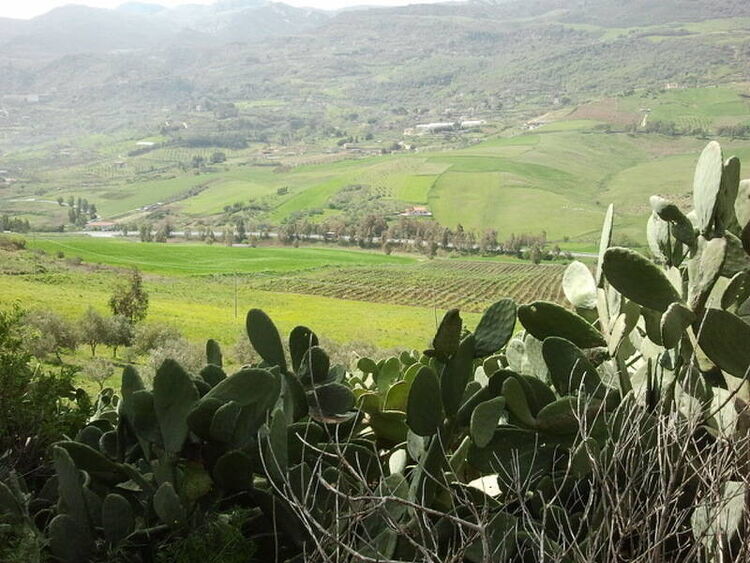foto 2 del terreno