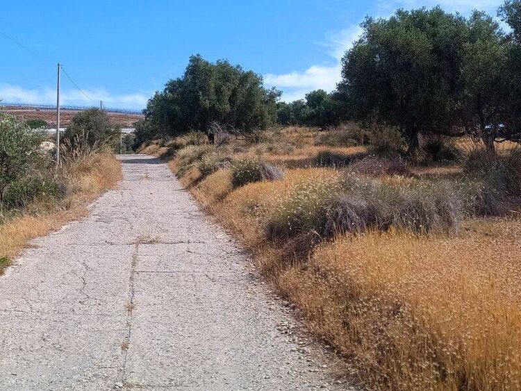 foto 3 del terreno