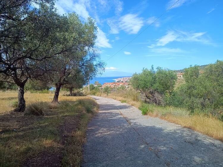 foto 4 del terreno
