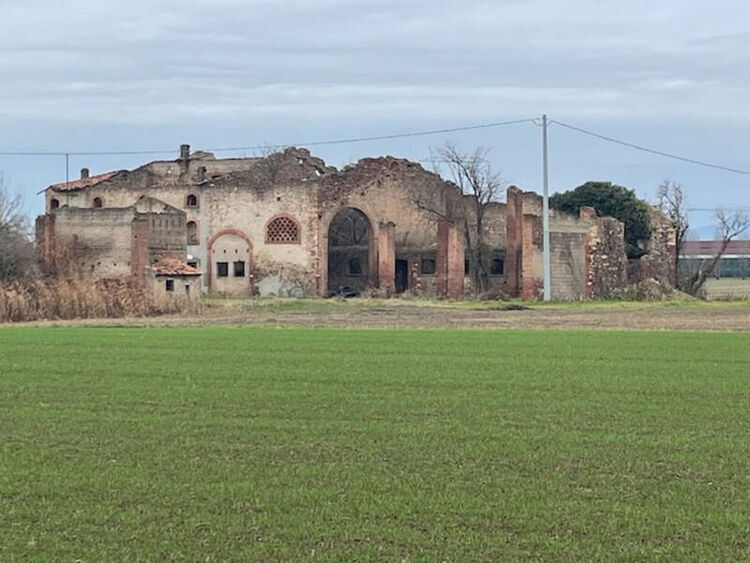 foto 5 del terreno