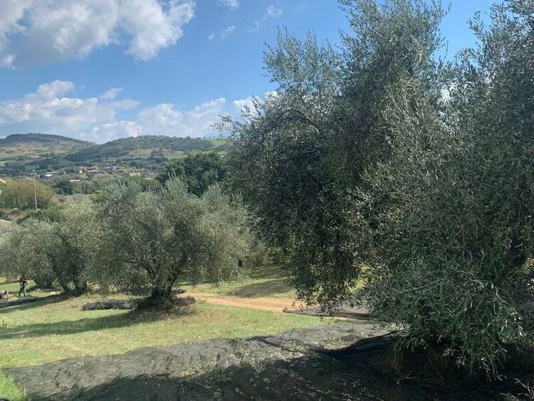 foto 2 del terreno