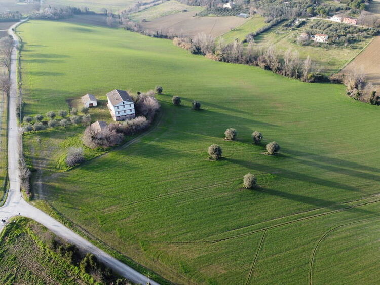 foto 4 del terreno