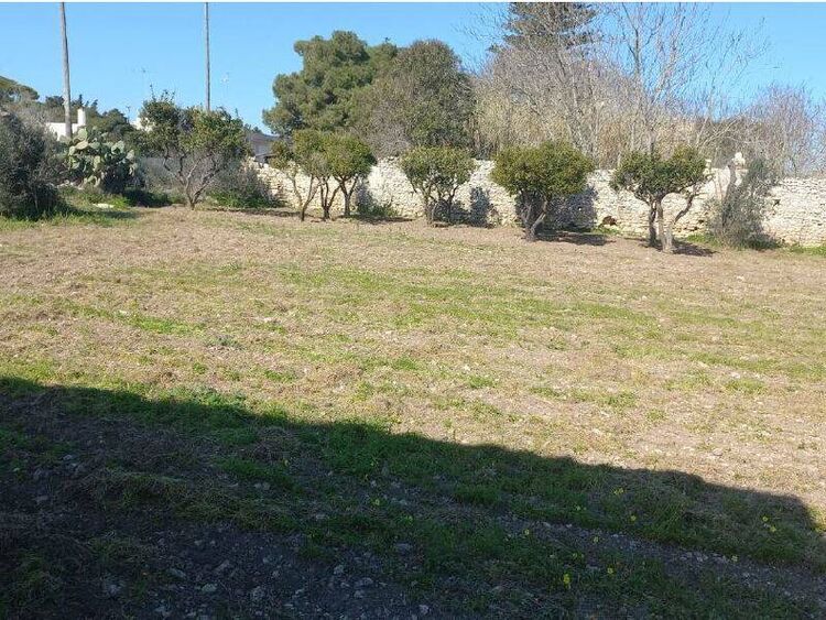 foto 3 del terreno