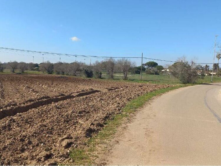 foto 2 del terreno