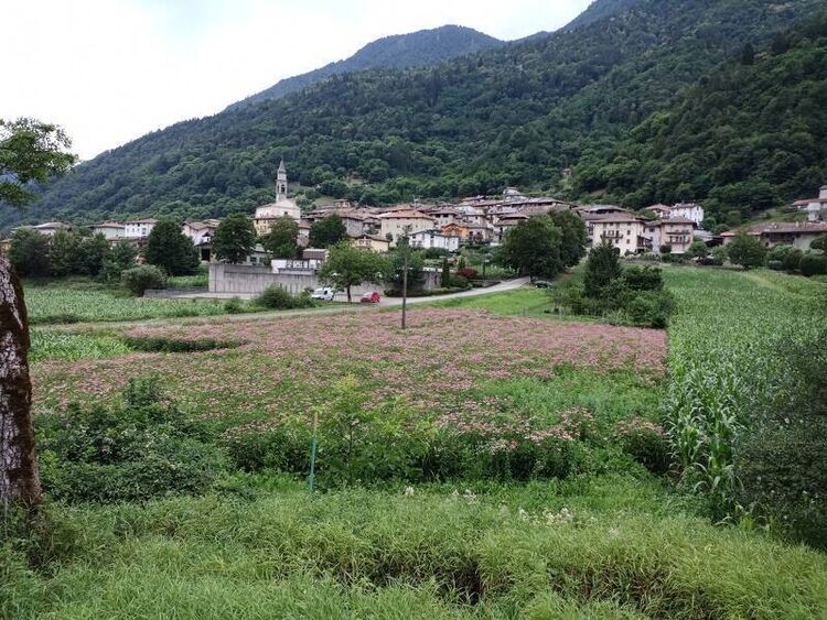 foto 3 del terreno