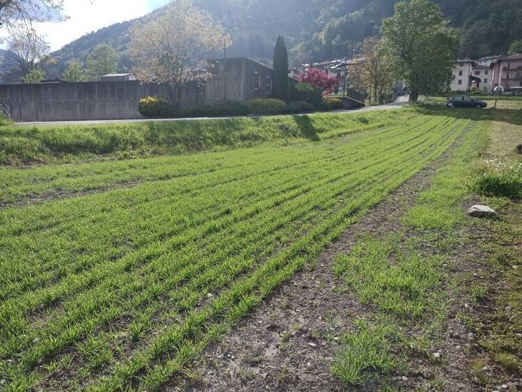 foto 5 del terreno