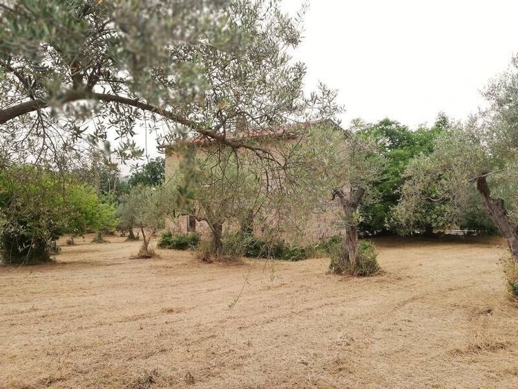 foto 3 del terreno