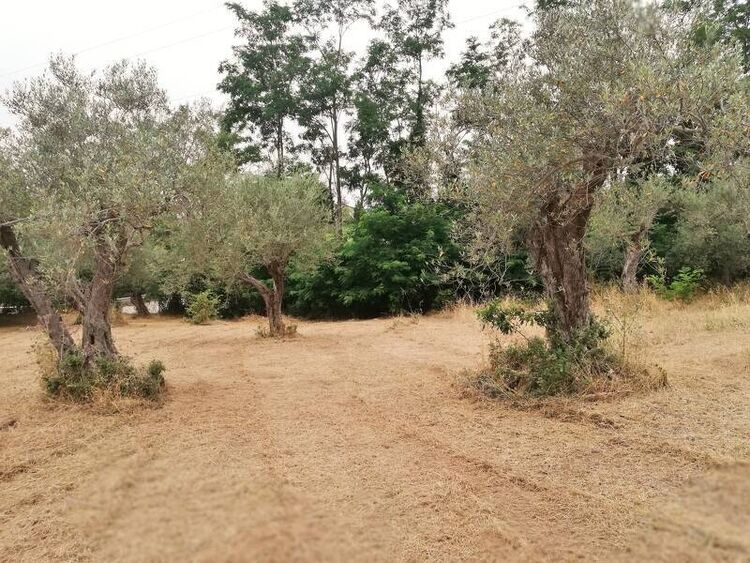 foto 4 del terreno
