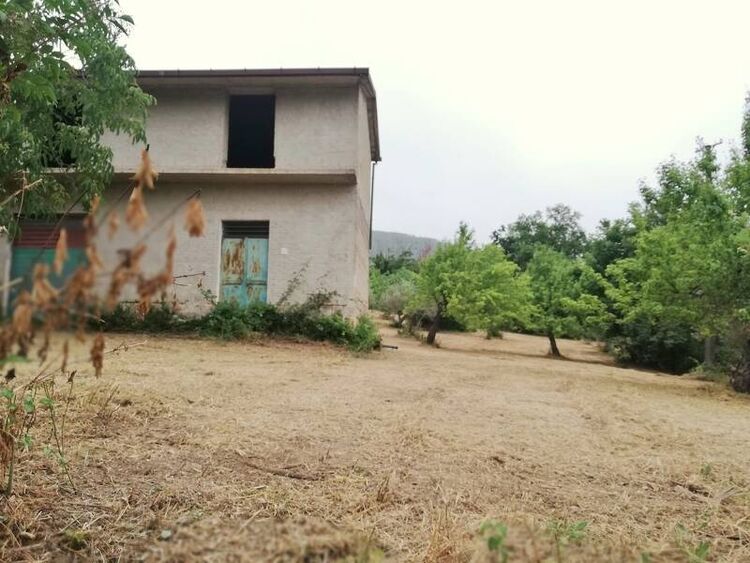 foto 5 del terreno