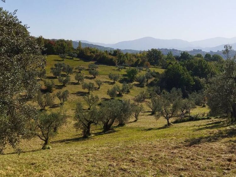 foto 4 del terreno