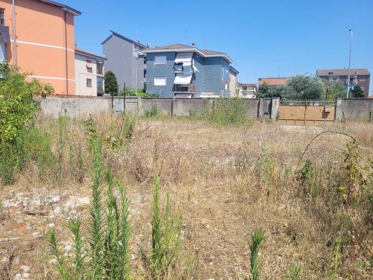 foto 4 del terreno