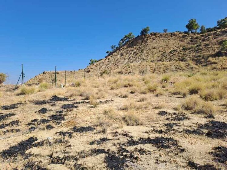 foto 2 del terreno